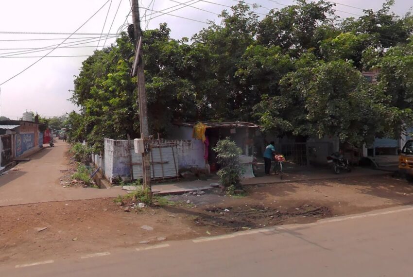Plot Photo